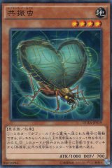 画像: 共振虫