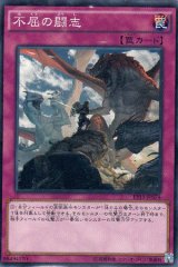画像: 不屈の闘志