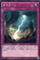 画像: タイフーン
