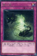 画像: 量子猫 Rare
