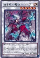 画像: 白き森の魔性ルシエラ Rare