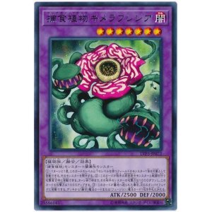 画像: 捕食植物キメラフレシア Rare