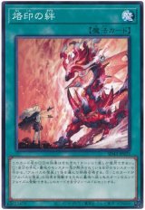 画像: 烙印の絆