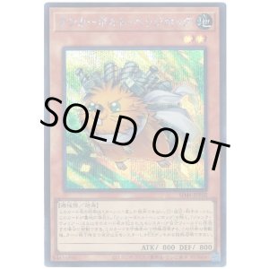 画像: アンカーボルト・ヘッジホッグ Secret