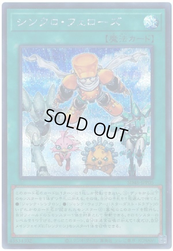 画像1: シンクロ・フェローズ Secret (1)