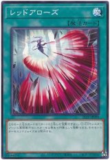 画像: レッドアローズ