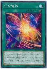 画像: 化合電界