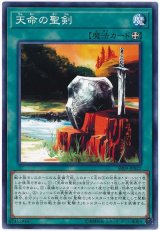 画像: 天命の聖剣