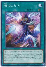 画像: 魂のしもべ