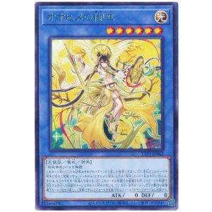 画像: オオヒメの御巫 Rare
