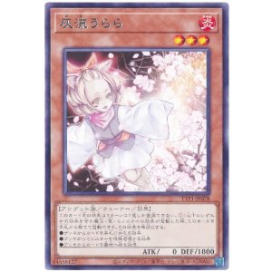 画像: 灰流うらら Rare