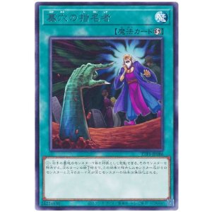 画像: 墓穴の指名者 Rare