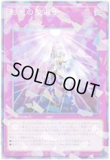 画像: 影光の聖選士