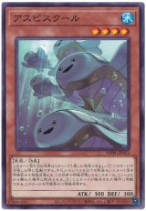 画像: アスピスクール