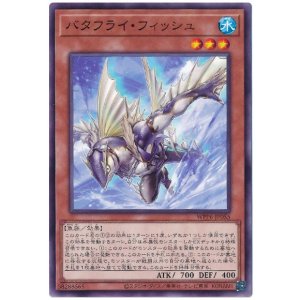 画像: バタフライ・フィッシュ