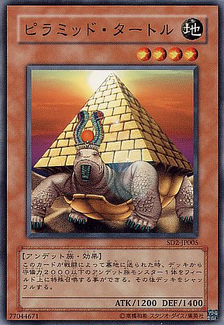 画像1: ピラミッド・タートル (1)